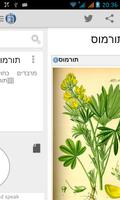 Hebrew Tyoki Offline ABS capture d'écran 3