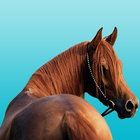 Horse Tracks Lite icon