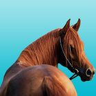 Horse Tracks Lite أيقونة