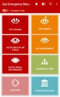 Eye Emergency Manual پوسٹر