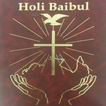 Holi Baibul