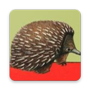 Wik Mungkan Dictionary APK