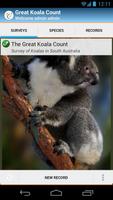 Great Koala Count ポスター