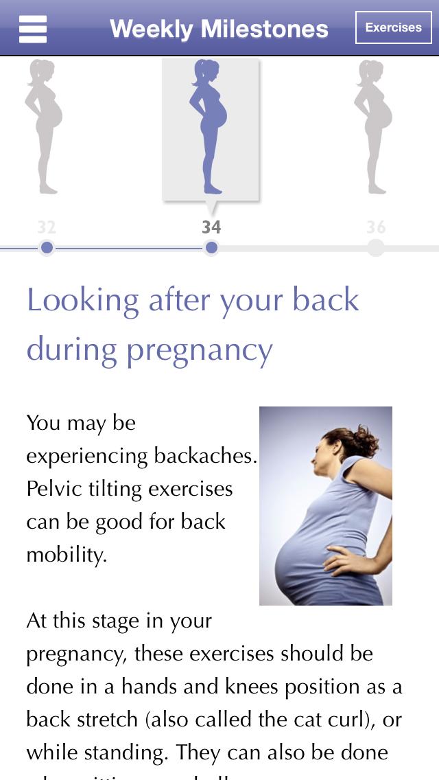 Pregnancy Pelvic Floor Plan For Android Apk Download