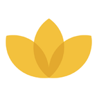 Mindprice icon