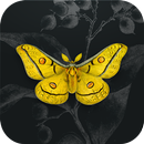 The Art of Science APK