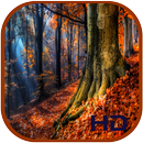 Autumn Live Wallpaper HD aplikacja
