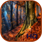 Autumn Live Wallpaper HD आइकन