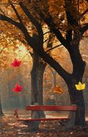Autumn Live Wallpaper HD Plakat