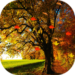 Autumn HD Live Wallpaper Pro
