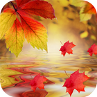 Autumn Wallpapers & Backgrounds HD icône