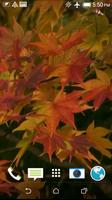 پوستر Autumn 3D Video Wallpaper