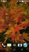 برنامه‌نما Autumn 3D Video Wallpaper عکس از صفحه