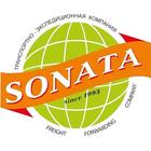 Sonata auto иконка