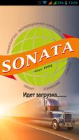 Sonata auto Plakat