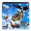 Any Aves Animals APK
