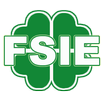 FSIE Comunidad Valenciana APK