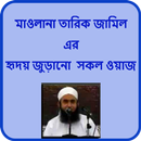 APK Maulana Tariq Jameel