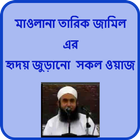 ikon Maulana Tariq Jameel
