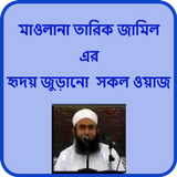 Maulana Tariq Jameel icône