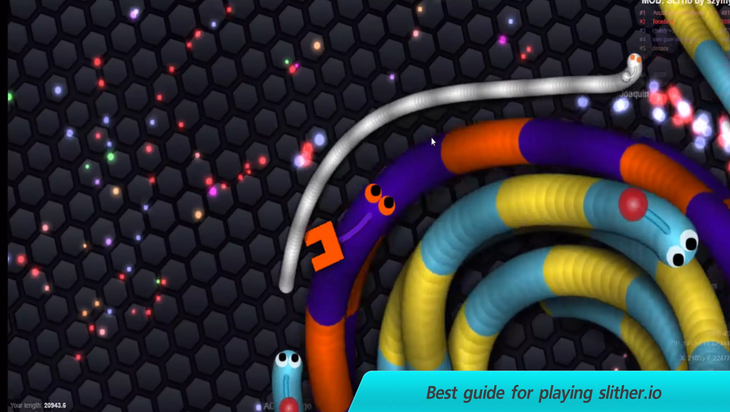 Slither.io Apk Mobile Game - Slither.io Game Guide