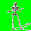 skeleton james