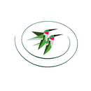 Castle Pines Golf Club APK