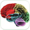 HUMAN BRAIN (PARTS-FUNCTIONS) APK
