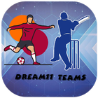 Dream11 pro premium 아이콘