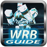 Icona Guide For Real Steel WRB