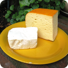 Icona Tasty and Easy Cheese Recipes
