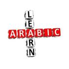 Learn Arabic language Beta icône