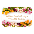 عبد الباسط عبد الصمد مجود 10 بدون نت - لا اعلانات