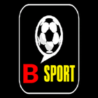 B-SPORT icon