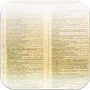 Martin Luther 95 Theses Reader APK