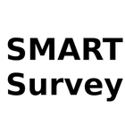 Survey icône
