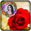 Macro Rose Photo Frames