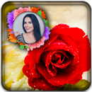 Macro Rose Photo Frames APK