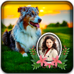 Dog Photo Frames