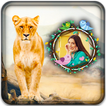 Lion Photo Editor