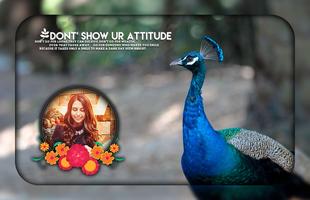 Peacock Photo Editor screenshot 2