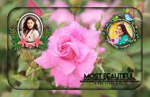 Pink Rose Photo Frames الملصق