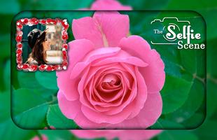 Pink Rose Photo Frames تصوير الشاشة 2