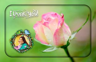 Pink Rose Photo Frames تصوير الشاشة 3