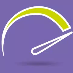 Velocímetro Viva Icon