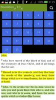 Holy Bible - Jubilee الملصق