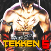 New Tekken 5 Hinto