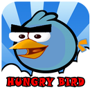 APK The Hungry Bird