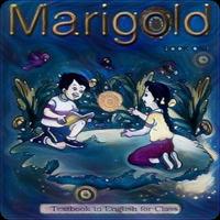 Marigold I-poster