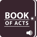 Audio Bible - Book Of Acts Only (KJV) APK